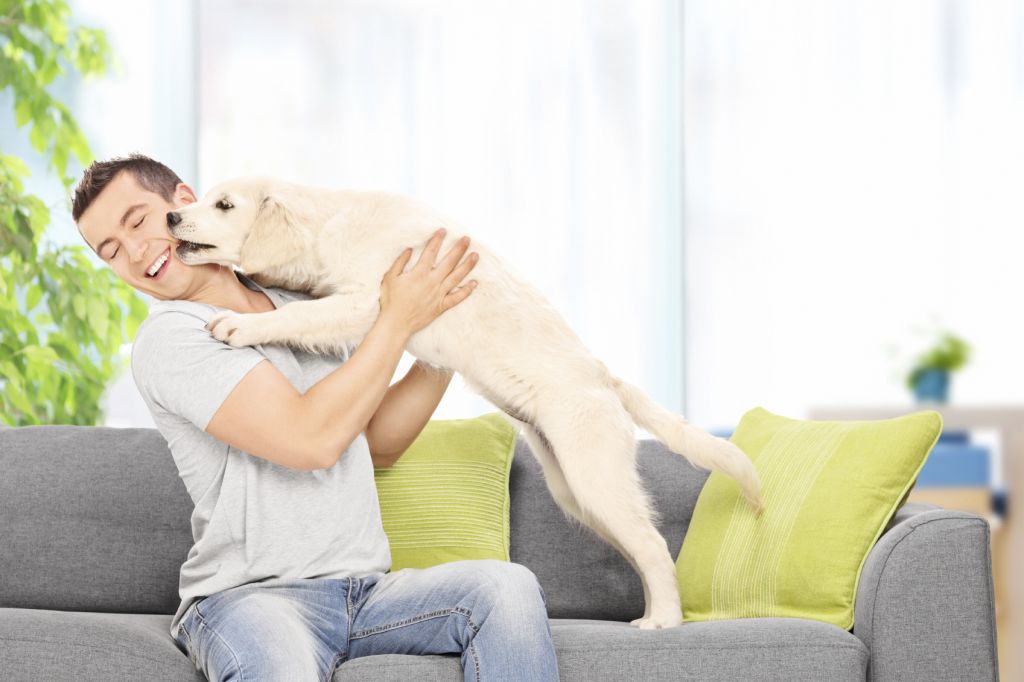Man playing with a puppy seated on couch at home