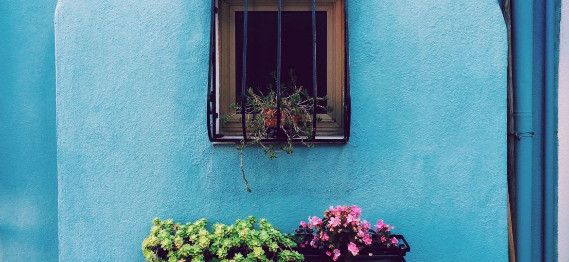 burglar bars on blue wall with flowers